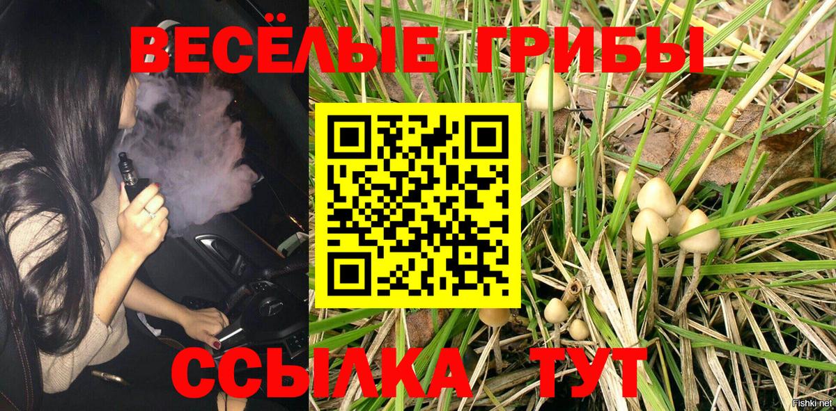 Рассказово  Галлюциногенные грибы Psilocybine cubensis  Вход с VPN  Галлюциногенные грибы мицелий 